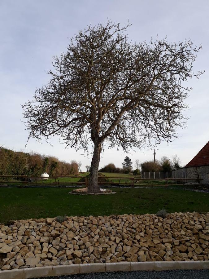 Liesville-sur-Douve Gite " Le Vieux Noyer" מראה חיצוני תמונה